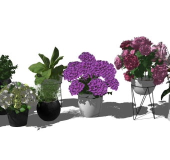 盆栽 花卉鲜花组合su模型